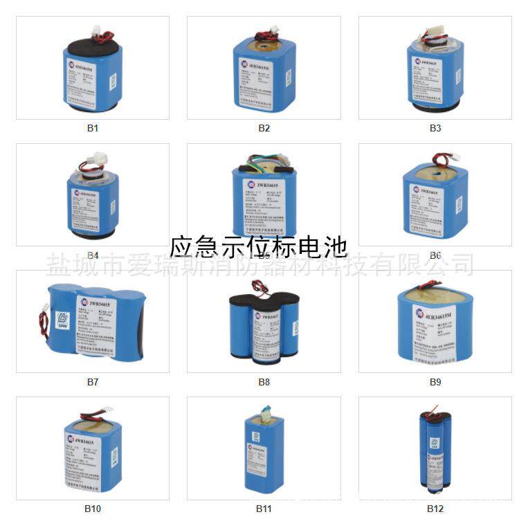 驰洋船舶雷达应答器电池船用应急示位标电池双向手持电话电池