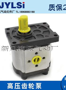 高压齿轮泵CBD/CBN-F306/F308/F310/F312/F314/F316/F320/F325