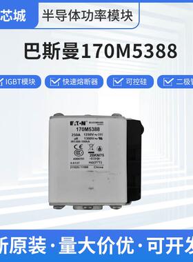巴斯曼170M5388快速熔断器