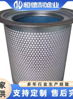 适用于寿力空压机专用油分芯250034-124250034-130