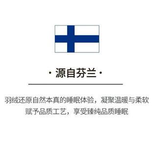 95白鹅绒被子棉季加冬厚纯棉夏全凉被天春秋羽DM绒被芯