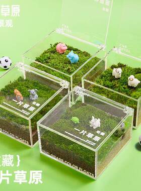 一片草原人F99SMJM8苔单藓草微景观桌面懒绿植坪自然简好养引趣味