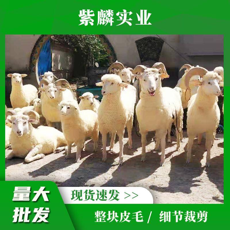 羊模型仿真山羊花园园林户外景区绵羊摆件农家乐幼儿园道具商场