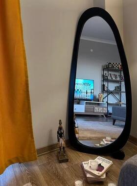 Ph异形中古全身穿衣镜紫色不规则法式可爱风家用落地试衣镜子公主