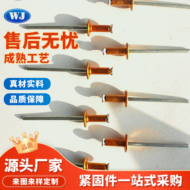 大量批发抽芯拉铆钉国标拉铆钉铝制抽芯铆钉拉柳钉现货