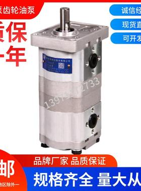 合肥长源液液压双联齿轮油泵CBWL-F310/F306-ALP液压泵高压泵油泵