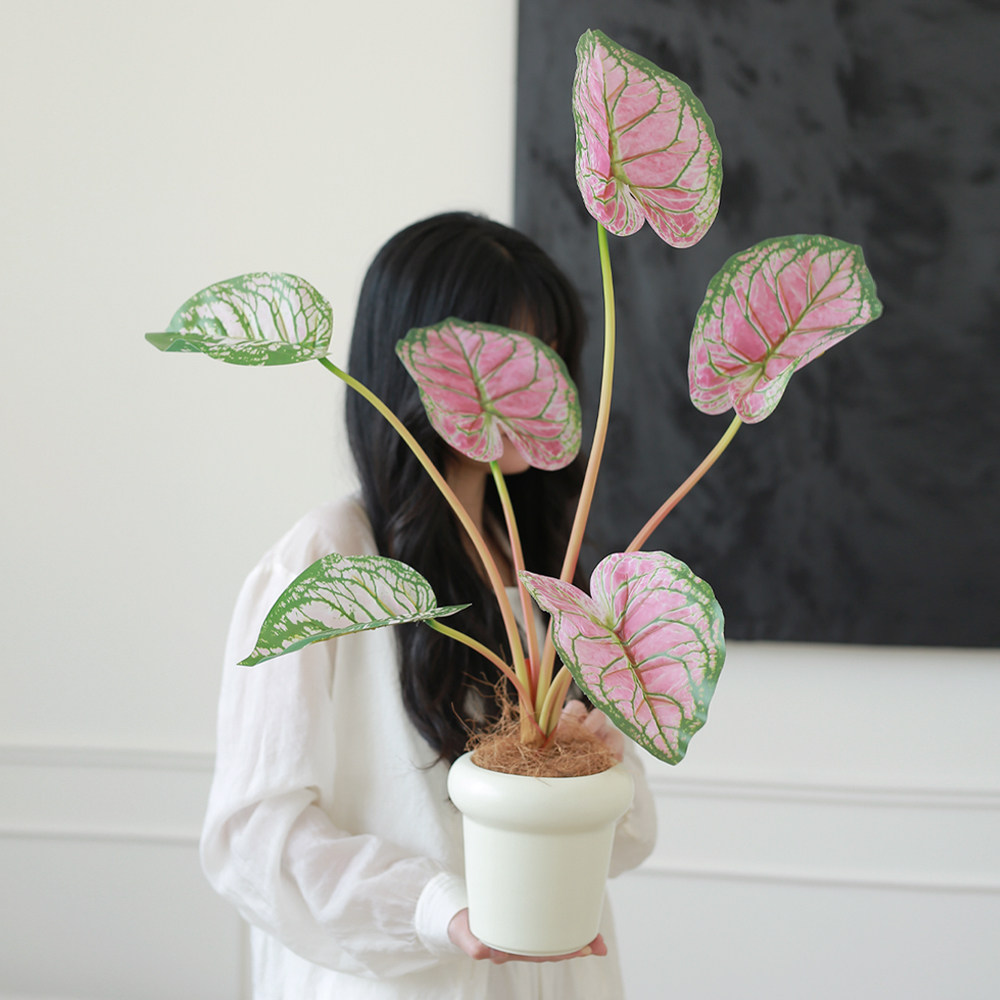 彩叶海芋客厅绿植室内盆栽仿真花高级感逼真假花民宿