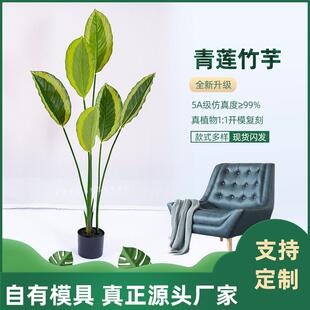 新品仿真植物青莲竹芋室内造景树北欧居家客厅装饰大型落地盆栽