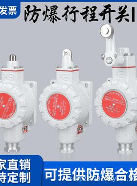 防爆行程开关限位IIC脚踏DLXK-/B/Z/N隔爆单双踏控制EX滚轮柱塞式