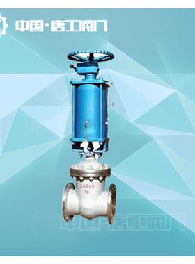 唐工阀门集团Z641-0DSU/16/25/40/164/1腐00P气W动不锈钢法兰闸阀