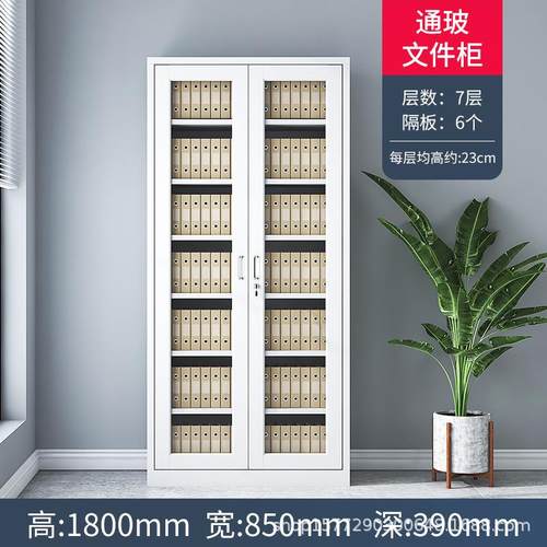 文件柜办公带柜SD661书柜资证料整理铁皮柜子柜储物柜财务凭柜锁