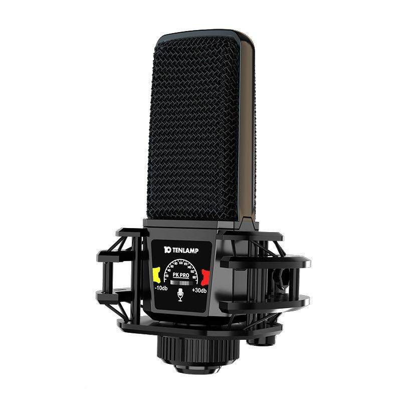 十盏灯PKpr风o容克专业直播全套设备麦K歌神器电录音修音网红7725