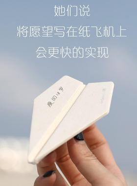 LinDe113in翎感车载挂件纸飞机氛香g薰内饰汽s车香后视镜挂件礼品