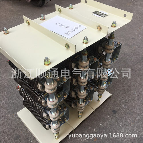 电机调整制动电阻器电阻箱RS56-250M1-6 RS54-250M2-8 RT54RQ54