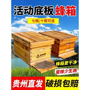 蜂大哥活底蜂箱全套标准杉木养殖蜜蜂七框十框中蜂箱内置巢门