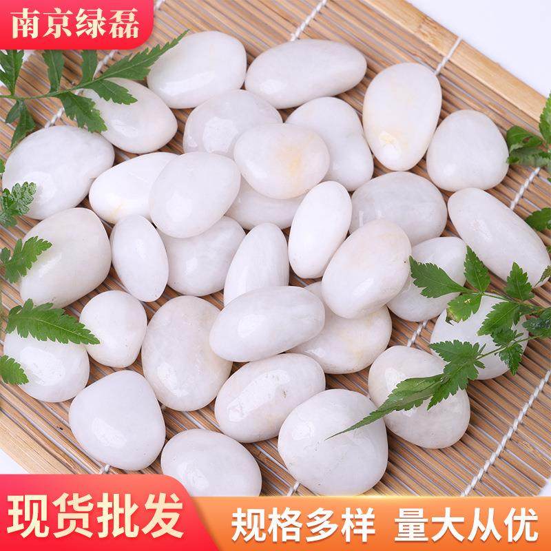 白色抛光鹅卵石 盆栽鱼缸亮光雨花石 园艺铺地装饰园林景观石头,3C数码配件,其它配件,淘宝优惠券,粉丝福利购,淘宝优惠卷
