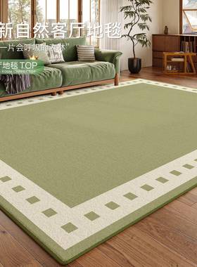 绿色地毯客厅JR202507202奢5新款可奶油风打免洗擦轻高级免理地垫