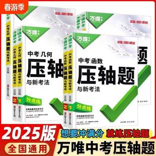 lg数学总几何复习物理化学函数2025万唯中考初三压轴题辅助线中考