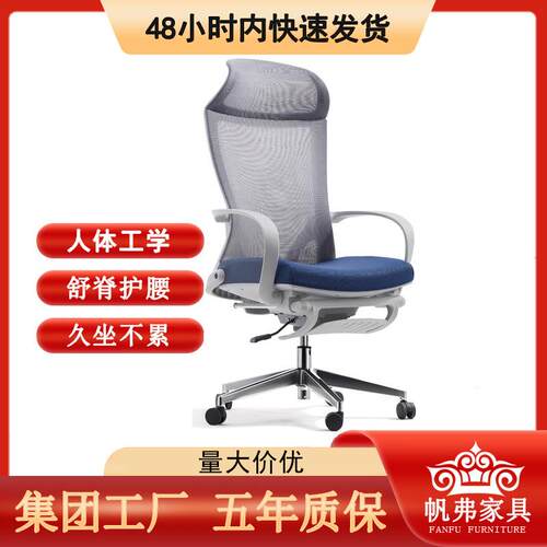 专业级职员可躺电脑转椅书房卧室办公午休2用椅升降椅