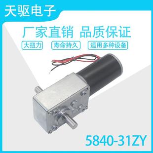 天驱5840 自锁马达 31ZY涡轮蜗杆双出轴12V直流电机24V全金属齿轮