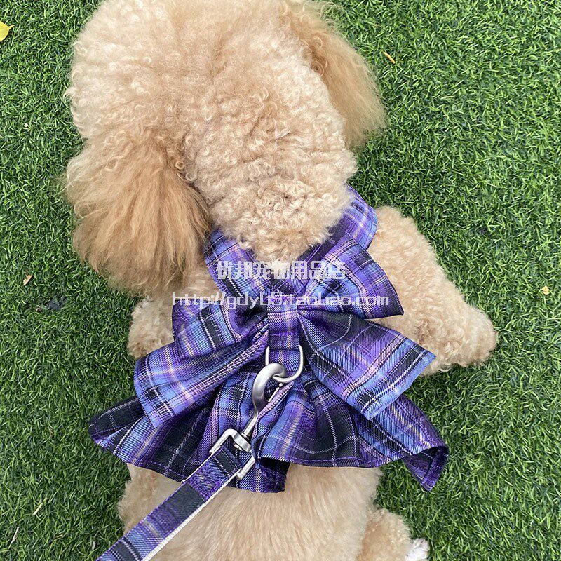 狗绳可爱花边裙子狗狗牵引绳小型犬泰迪背心式狗链子小狗遛狗绳子