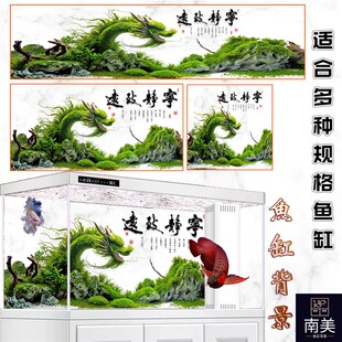 鱼缸背景贴纸高清图3D立体背景画龙鱼水族箱造景水草龙风生水起