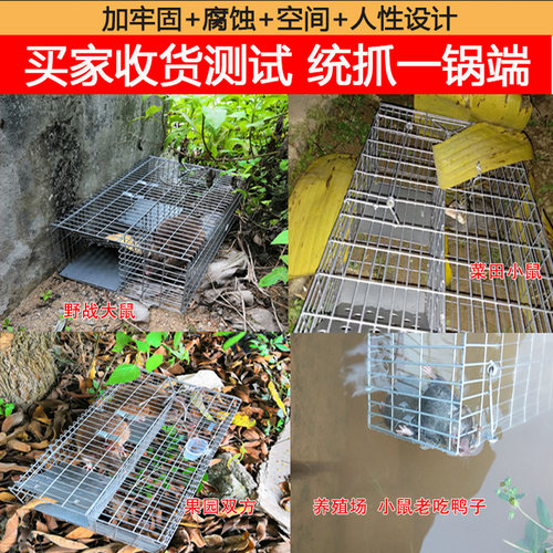 家用连续循环鼠器自动爪老鼠笼大号陷阱灵敏踏板抓装扑