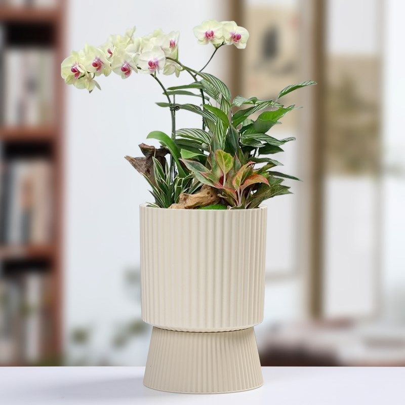 北欧简约花盆陶瓷大中号家用创意懒人盆绿萝吊兰多肉绿植蝴蝶兰盆,鲜花速递/花卉仿真/绿植园艺,花盆,淘宝优惠券,粉丝福利购,淘宝优惠卷