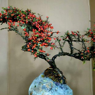 荀子红花栒子四季常绿小叶红果好养盆景办公桌净化空气带土包邮