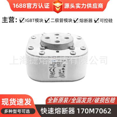 170M7062 170M7063 快速熔断器 保险丝 电子元器件 量大价优