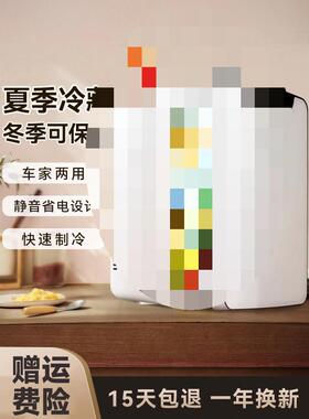 飞新迷你小冰箱小型一人miin车载冰箱宿舍家用小冰柜2025新款