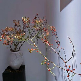 山归来鲜切枝条蔷薇果鲜花水培植物高级花材家用插花云南直发顺丰