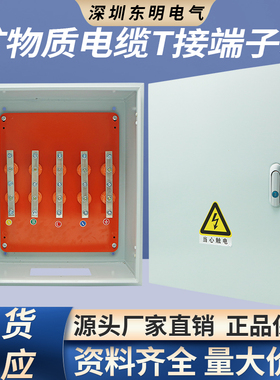 T接箱bttrz国标矿物电缆t接箱铜排t接箱接地保护箱低压电缆分支箱