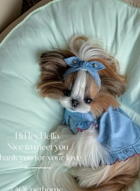 【OU】宠物窝原创夏季冰丝狗猫窝垫miu色系可拆洗非偏包顺丰