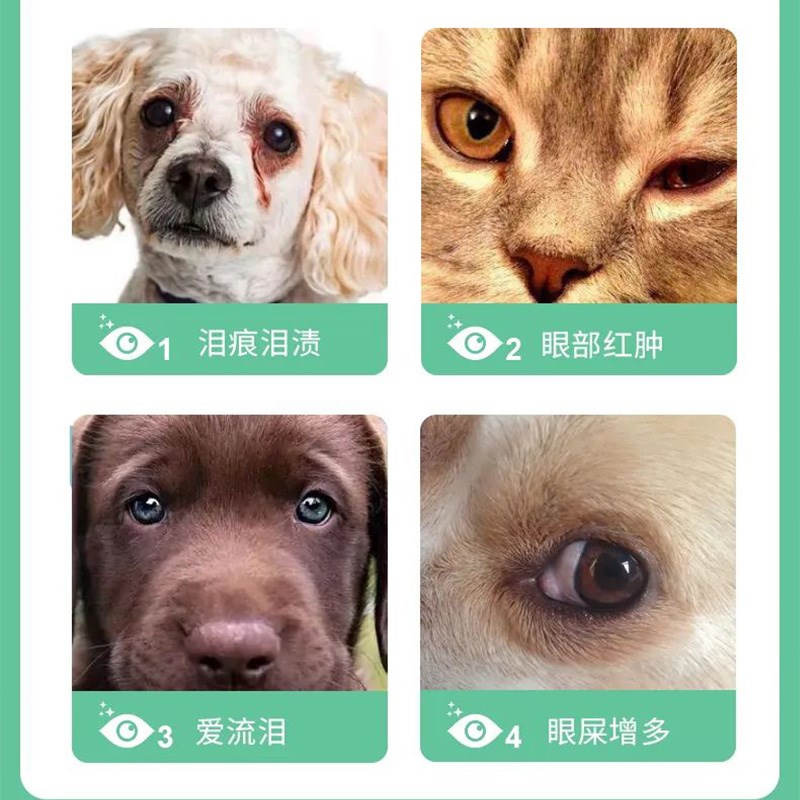 派维泪痕净去泪痕口服液猫咪改善除泪痕宠物狗狗比熊博美修复泪腺