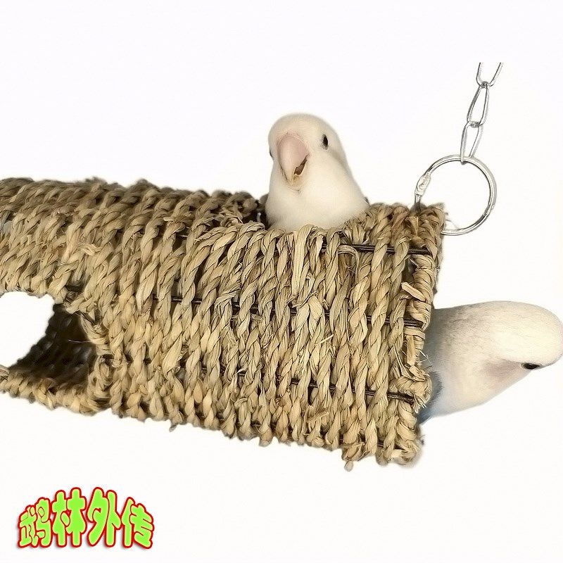 鹦鹉躲避啃咬攀爬避暑遮阳草编通道鸟窝秋千玄风牡丹虎皮鸟笼配件,宠物/宠物食品及用品,鸟玩具,淘宝优惠券,粉丝福利购,淘宝优惠卷