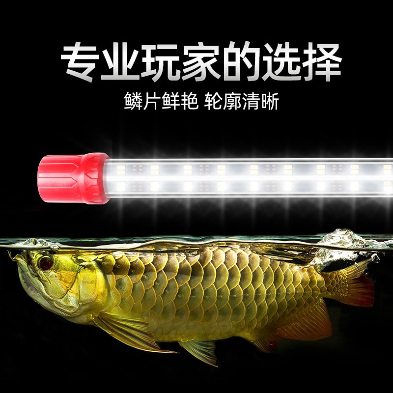 金龙金鱼专用鱼缸灯专业级防水超亮水草灯龙鱼照明灯水族增艳灯管