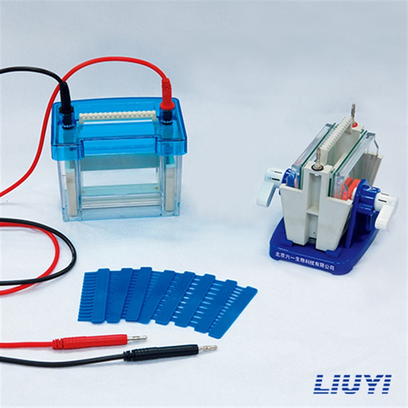 北京六一生物DYCZ-24DN迷你双垂直电泳仪配件梳子玻璃板DNA实验