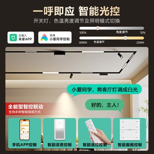 艾登森磁吸轨道灯客厅无边框射灯嵌入式无主灯套餐智能语音磁吸灯