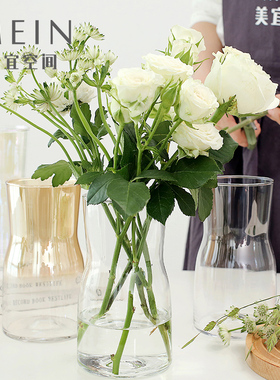 宽口极光七彩简约北欧小花瓶水培鲜花插花干花透明玻璃插花器桌面