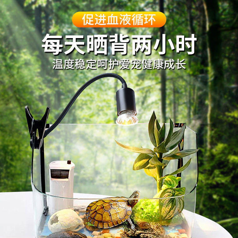 乌龟晒背灯 全光谱太阳灯uvb+uva龟缸专用爬宠补钙保温灯定时可调