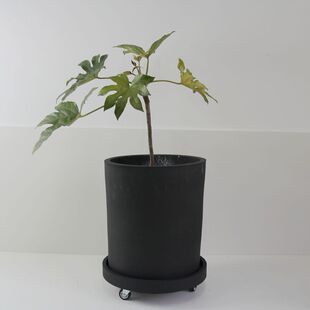 北欧网红圆柱形水泥花盆落地镁泥花器大号户外庭院门店小破损包赔