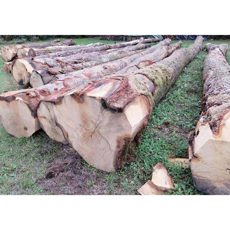 欧博源欧洲橡木实木原木白橡木板进口家装门床锯材原材圆木统材,鲜花速递/花卉仿真/绿植园艺,割草机/草坪机,淘宝优惠券,粉丝福利购,淘宝优惠卷