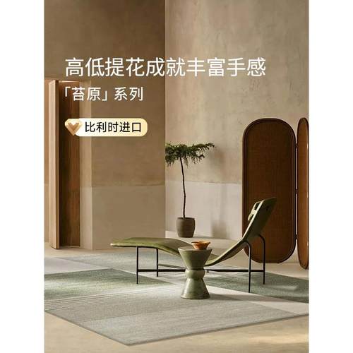 比利时进口地毯客厅高级感摇椅子休闲沙发茶几毯家用房间地垫
