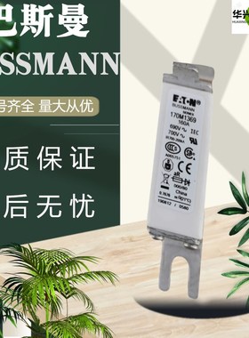 全新巴斯曼熔断器170M1368/69 170M1562/63 170M3142/44170M4269