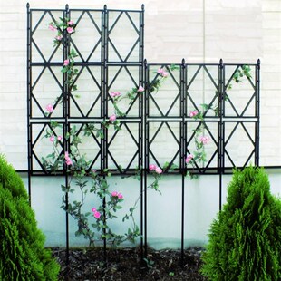 月季爬藤花架铁线莲攀爬架子植物支撑杆庭院栅栏隔断围栏网格花架