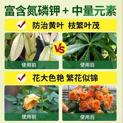 绿植营养液肥料水培植物通用型发财树绿萝多肉金钱树兰花室内盆栽