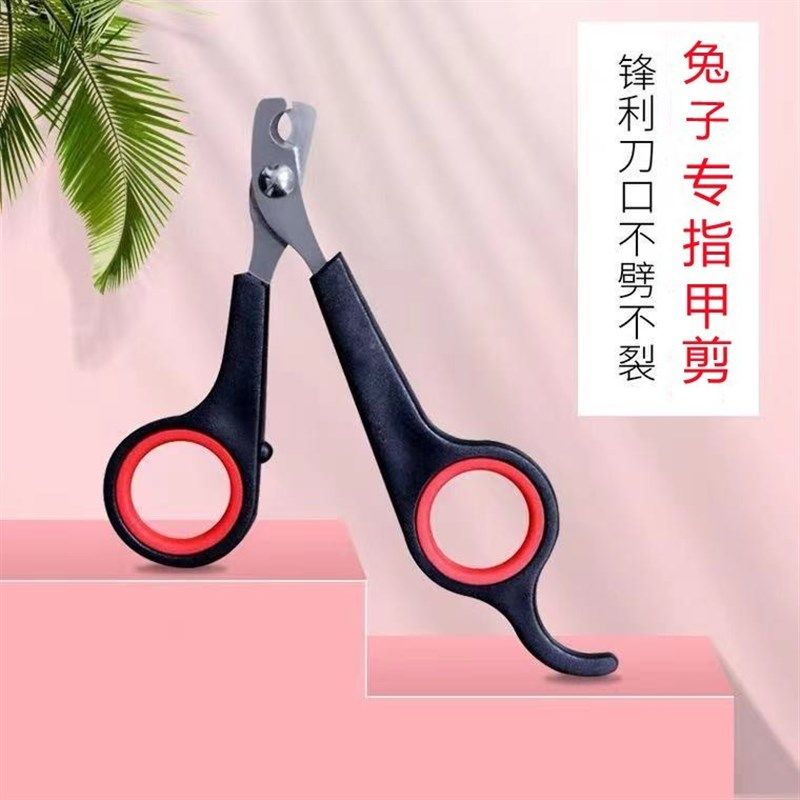 兔兔用品 猫狗小宠专用指甲剪 宠物兔指甲刀方便安全垂耳兔指甲剪,宠物/宠物食品及用品,兔兔其他,淘宝优惠券,粉丝福利购,淘宝优惠卷