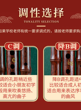 奇美初学葫芦丝c调降b调成人小学生儿童入门自学民族葫芦丝耐用