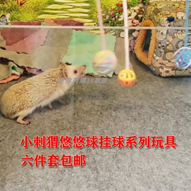非洲迷你刺猬悠悠球挂球系列玩具全套包邮六件套